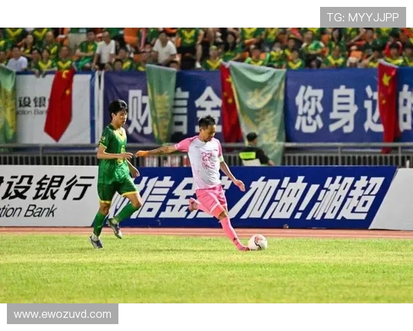 常德队足球奋勇拼搏谱写新时代城市体育精神新篇章